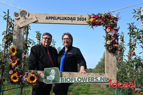 Appelplukdag bij Fruitbedrijf Horstink (01-09-2024)