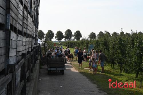 Appelplukdag bij Fruitbedrijf Horstink (01-09-2024)