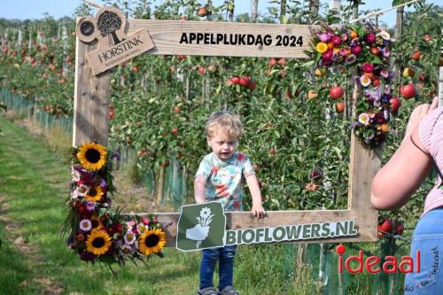 Appelplukdag bij Fruitbedrijf Horstink (01-09-2024)