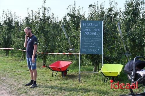 Appelplukdag bij Fruitbedrijf Horstink (01-09-2024)