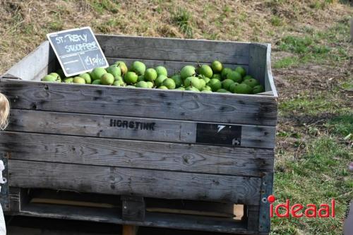 Appelplukdag bij Fruitbedrijf Horstink (01-09-2024)