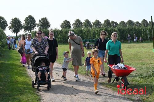 Appelplukdag bij Fruitbedrijf Horstink (01-09-2024)