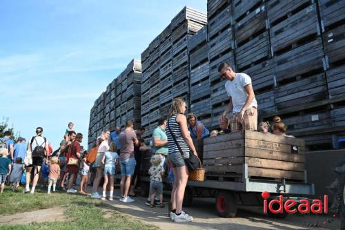 Appelplukdag bij Fruitbedrijf Horstink (01-09-2024)