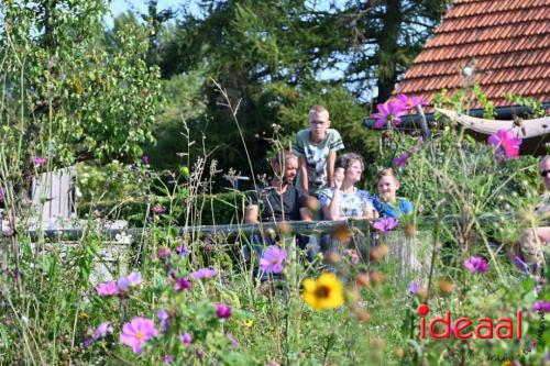 Appelplukdag bij Fruitbedrijf Horstink (01-09-2024)