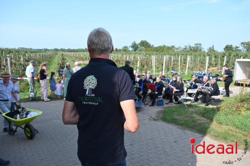 Appelplukdag bij Fruitbedrijf Horstink (01-09-2024)