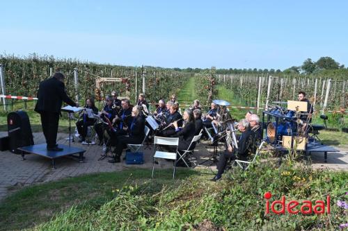 Appelplukdag bij Fruitbedrijf Horstink (01-09-2024)