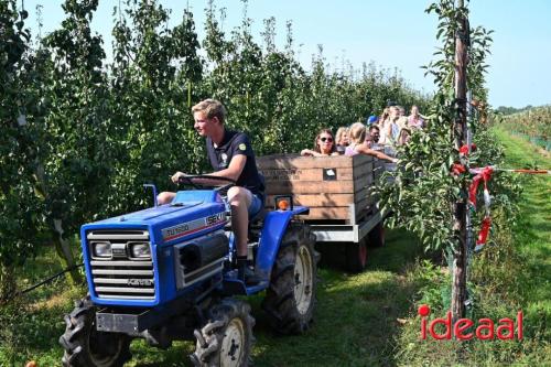 Appelplukdag bij Fruitbedrijf Horstink (01-09-2024)