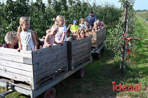 Appelplukdag bij Fruitbedrijf Horstink (01-09-2024)