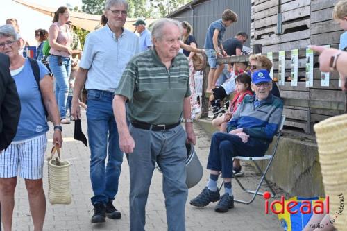 Appelplukdag bij Fruitbedrijf Horstink (01-09-2024)