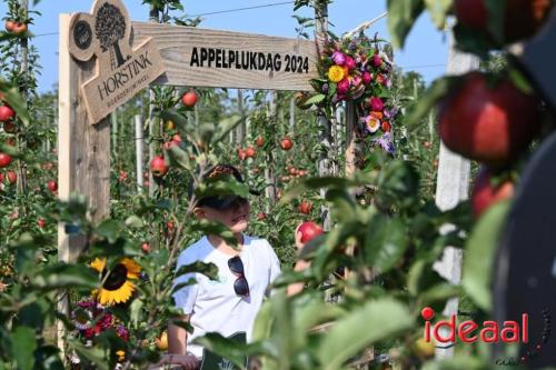 Appelplukdag bij Fruitbedrijf Horstink (01-09-2024)