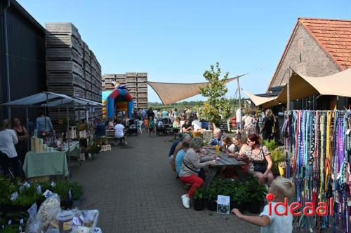 Appelplukdag bij Fruitbedrijf Horstink (01-09-2024)