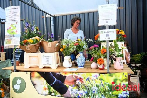 Appelplukdag bij Fruitbedrijf Horstink (01-09-2024)