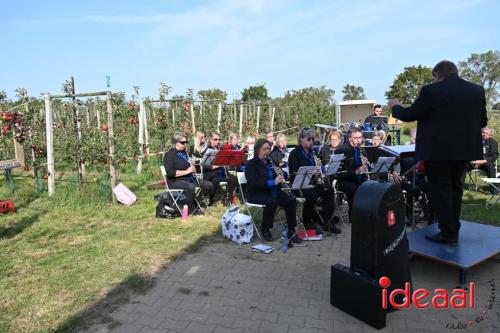 Appelplukdag bij Fruitbedrijf Horstink (01-09-2024)