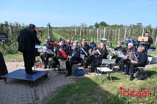 Appelplukdag bij Fruitbedrijf Horstink (01-09-2024)