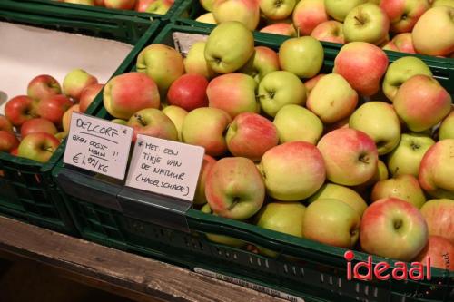 Appelplukdag bij Fruitbedrijf Horstink (01-09-2024)