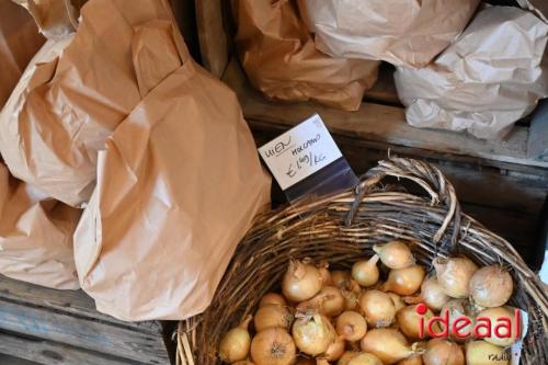 Appelplukdag bij Fruitbedrijf Horstink (01-09-2024)