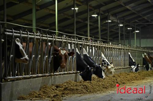 Verlichte Boerderijroute in Lochem (30-11-2024)