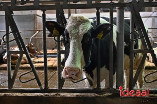 Verlichte Boerderijroute in Lochem (30-11-2024)