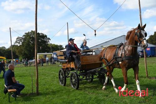 Lindesfeest - deel 2 (29-09-2024)