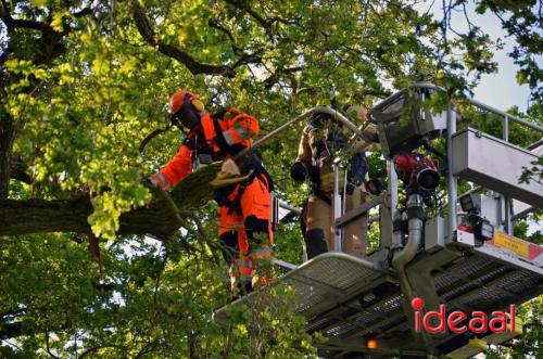 Stormschade in Warnsveld (04-05-2024)