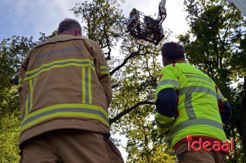 Stormschade in Warnsveld (04-05-2024)