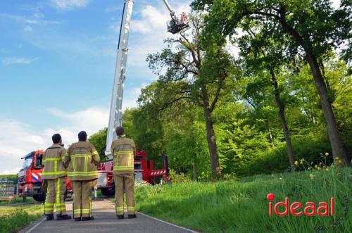 Stormschade in Warnsveld (04-05-2024)