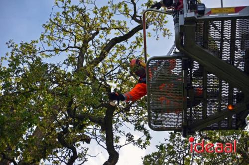 Stormschade in Warnsveld (04-05-2024)