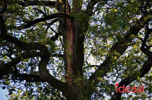 Stormschade in Warnsveld (04-05-2024)