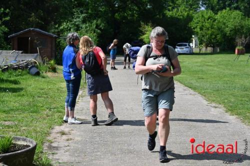 Achterhoekse Wandeldagen - deel 3 (09-05-2024)