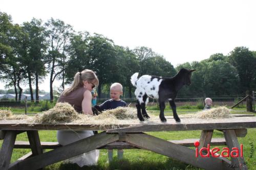 Geitenpicknick bij Gastouderbureau Gemoede(r)lijk in Doetinchem (15-05-2024)