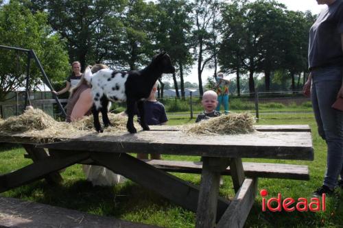 Geitenpicknick bij Gastouderbureau Gemoede(r)lijk in Doetinchem (15-05-2024)