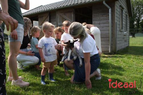 Geitenpicknick bij Gastouderbureau Gemoede(r)lijk in Doetinchem (15-05-2024)