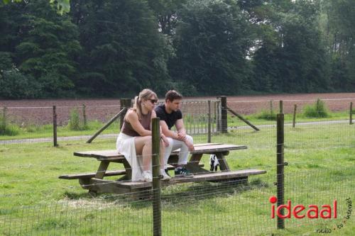 Geitenpicknick bij Gastouderbureau Gemoede(r)lijk in Doetinchem (15-05-2024)