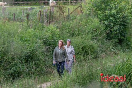 Avond4Daagse Hengelo - deel 2 (12-06-2024)