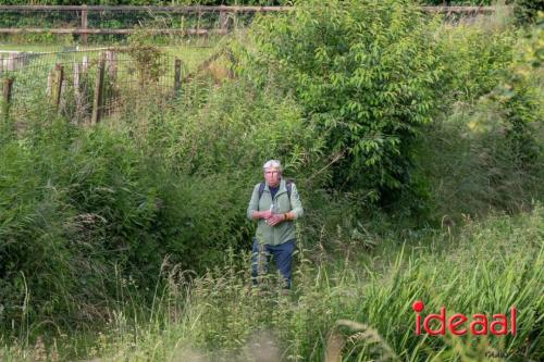 Avond4Daagse Hengelo - deel 2 (12-06-2024)