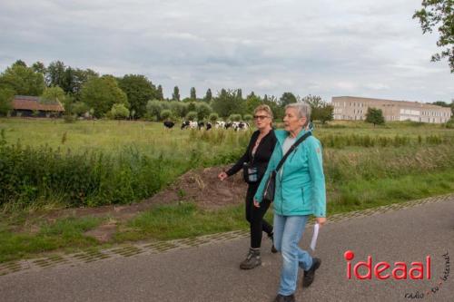 Avond4Daagse Hengelo - deel 2 (13-06-2024)