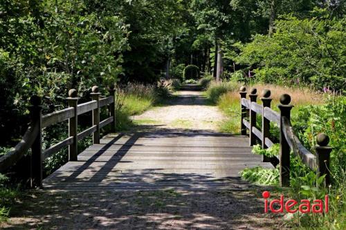 Open tuinen De Wiersse in Vorden (20-06-2024)