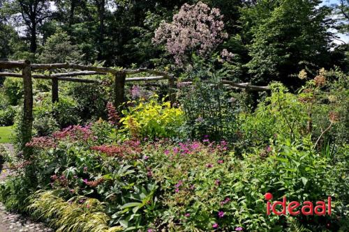 Open tuinen De Wiersse in Vorden (20-06-2024)