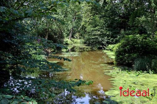 Open tuinen De Wiersse in Vorden (20-06-2024)