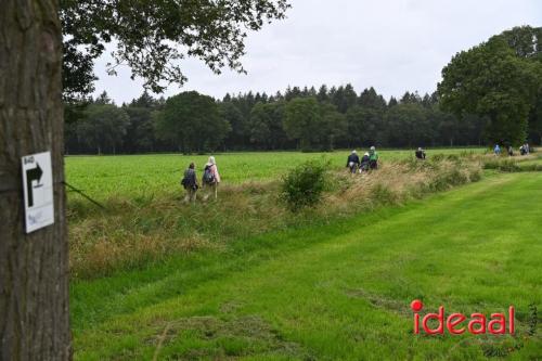 Barchemse4Daagse - deel 2 (05-07-2024)