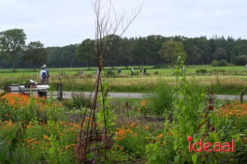 Barchemse4Daagse - deel 2 (05-07-2024)