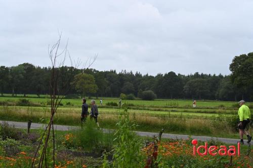 Barchemse4Daagse - deel 2 (05-07-2024)