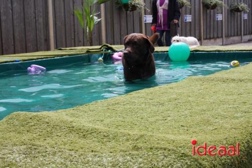 10 jaar Menno's Dierenwereld in Varsseveld (13-07-2024)