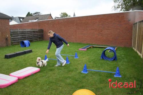 10 jaar Menno's Dierenwereld in Varsseveld (13-07-2024)