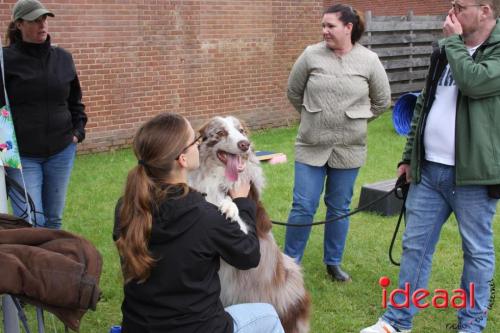 10 jaar Menno's Dierenwereld in Varsseveld (13-07-2024)