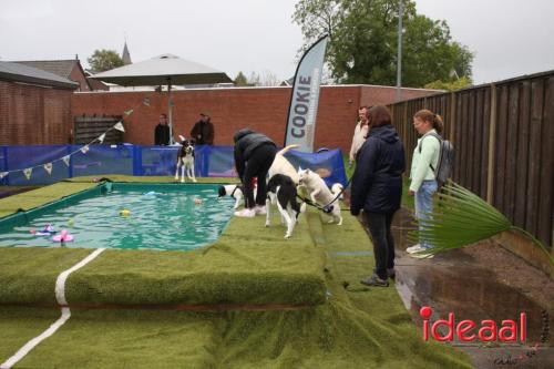 10 jaar Menno's Dierenwereld in Varsseveld (13-07-2024)