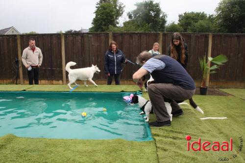 10 jaar Menno's Dierenwereld in Varsseveld (13-07-2024)