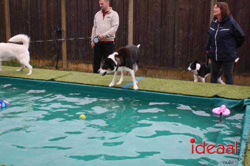 10 jaar Menno's Dierenwereld in Varsseveld (13-07-2024)