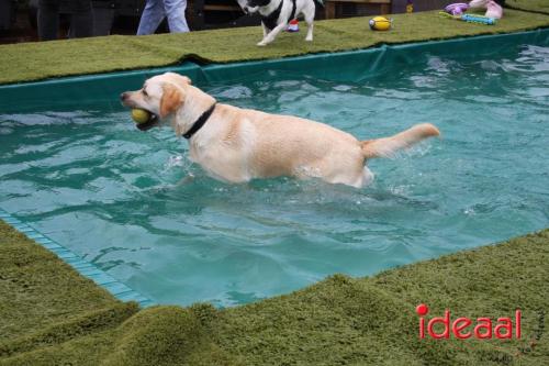 10 jaar Menno's Dierenwereld in Varsseveld (13-07-2024)