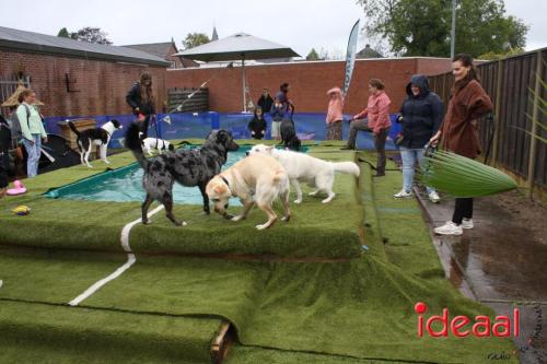 10 jaar Menno's Dierenwereld in Varsseveld (13-07-2024)